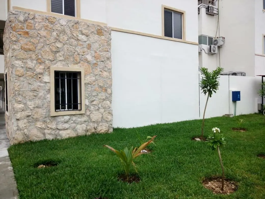 Real Ibiza Plus By Hotel Colibri Creel Плая-дель-Кармен 0*,  Мексика